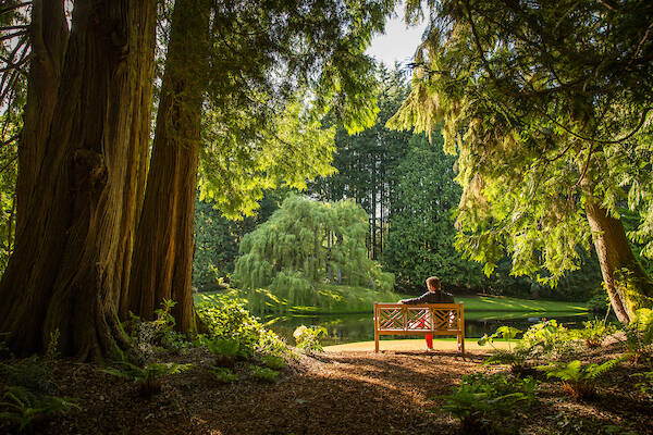 The forest at Bloedel Reserve on Bainbridge Island is a perfect place to re-energize this summer and slow down as you experience nature. Keith Brofsky photo
