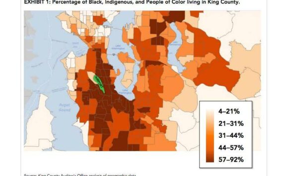Screenshot from King County Auditor’s Office report