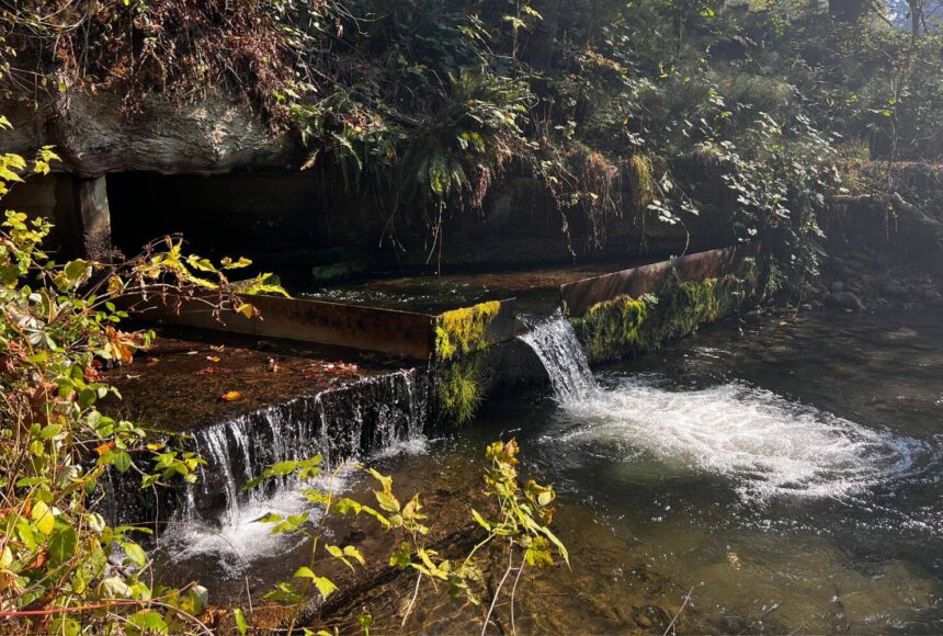 <p>Fish culvert in Issaquah. (Cameron Sheppard/Sound Publishing)</p>