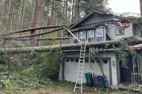 <p>A house in Issaquah was damaged by fallen trees during November’s bomb cyclone. (Courtesy of King County Councilmember Sarah Perry’s office)</p>