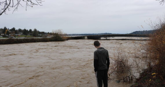 The flooded Cedar River flowing into Lake Washington. Photo by Bailey Jo Josie/Sound Publishing