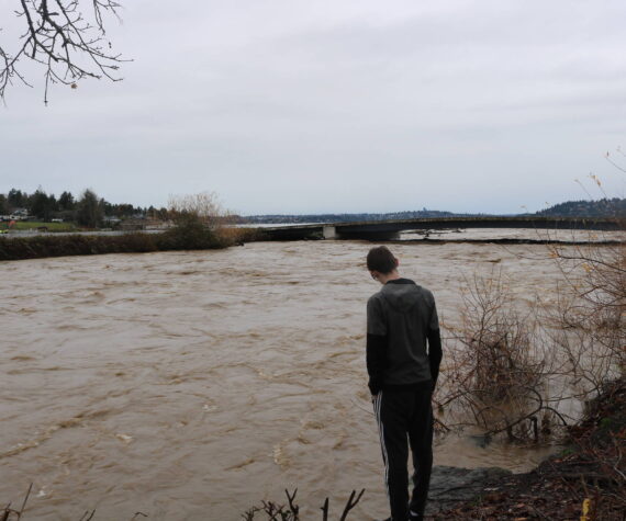The flooded Cedar River flowing into Lake Washington. Photo by Bailey Jo Josie/Sound Publishing
