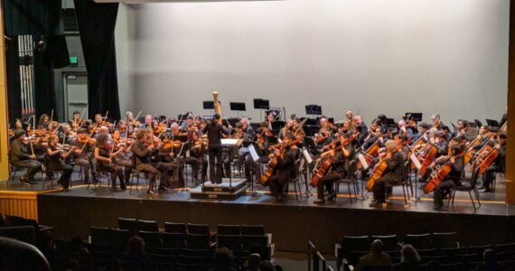 Photo by Bailey Jo Josie/Sound Publishing
Renton High School Orchestra students were paired with professionals from the Seattle Symphony at the Renton IKEA Performing Arts Center.