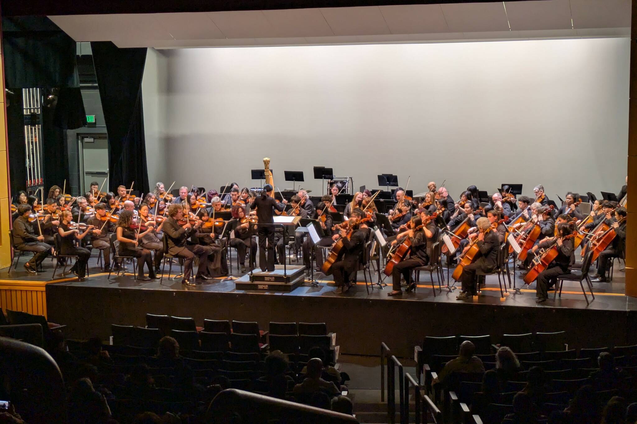 Photo by Bailey Jo Josie/Sound Publishing
Renton High School Orchestra students were paired with professionals from the Seattle Symphony at the Renton IKEA Performing Arts Center.
