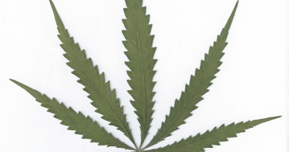 ‘The Dope Show’ Gets Comedians to Joke, Toke, Then Joke Again