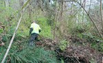 Forest Steward Peter Donahue traversing the chunk of land he stewards. Photo by Sara Bernard