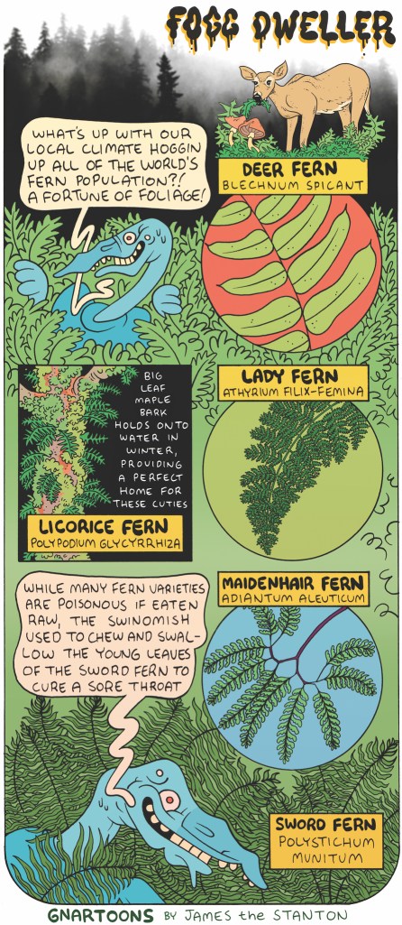 Fogg Dweller. By James the Stanton