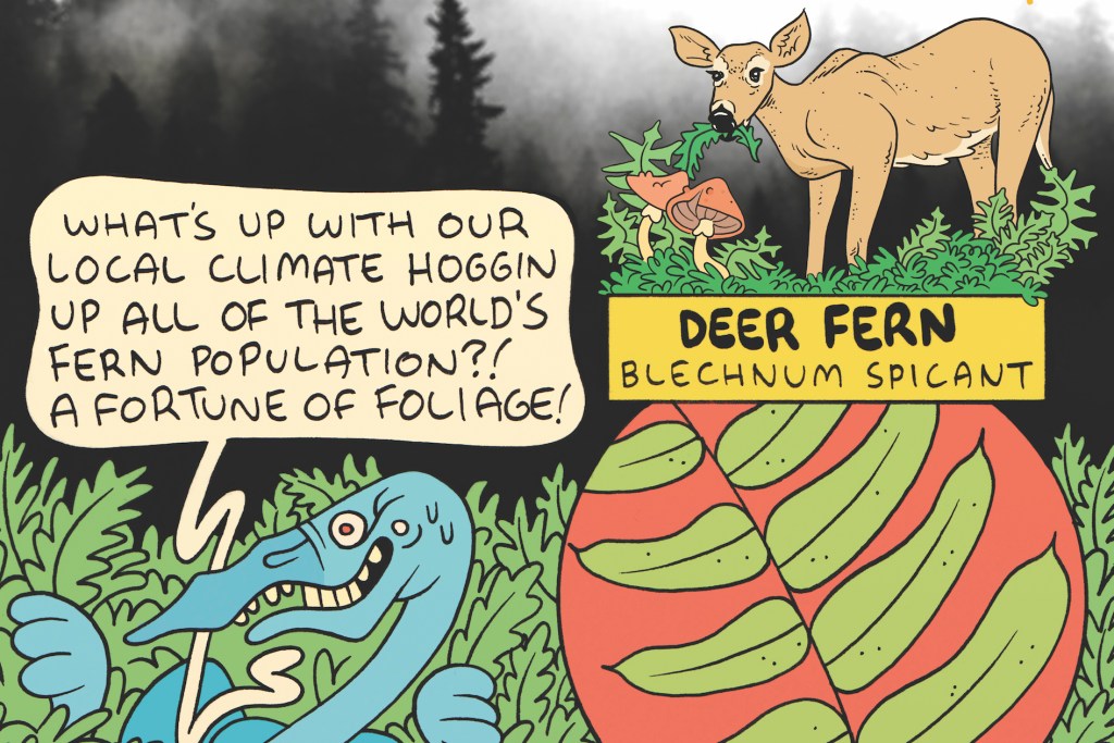 Fogg Dweller. By James the Stanton