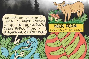 Fogg Dweller. By James the Stanton