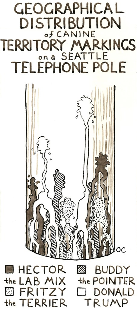 Territorial Pissings. By Owen Curtsinger