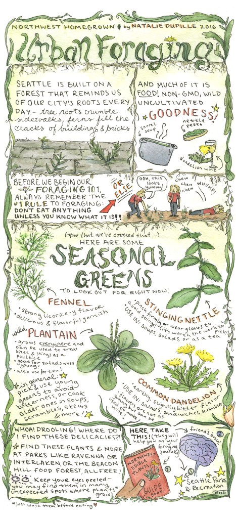 The Northwest Homegrown Guide to Urban Foraging. By Natalie Dupille