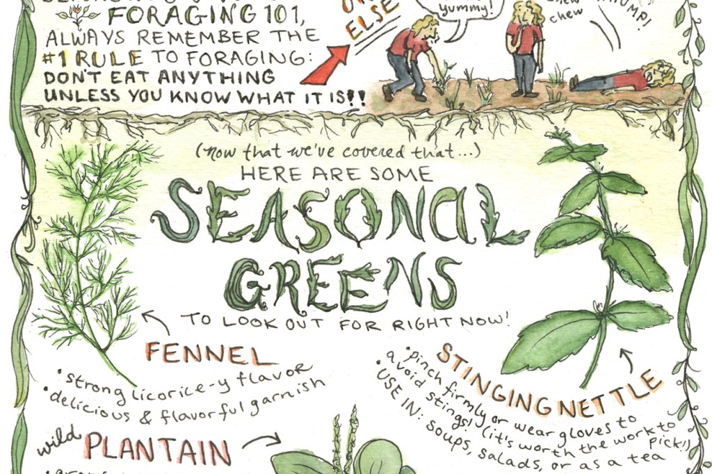 The Northwest Homegrown Guide to Urban Foraging. By Natalie Dupille (detail)