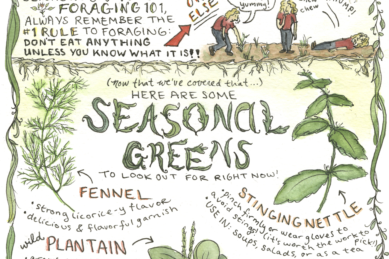 The Northwest Homegrown Guide to Urban Foraging. By Natalie Dupille (detail)