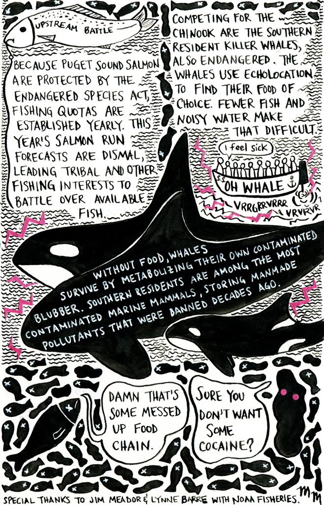 Fish & Chips: How Seattle’s Drugged-Up Effluent Is Affecting Puget Sound