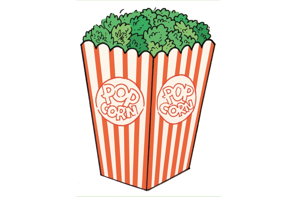 Illustration by James the Stanton