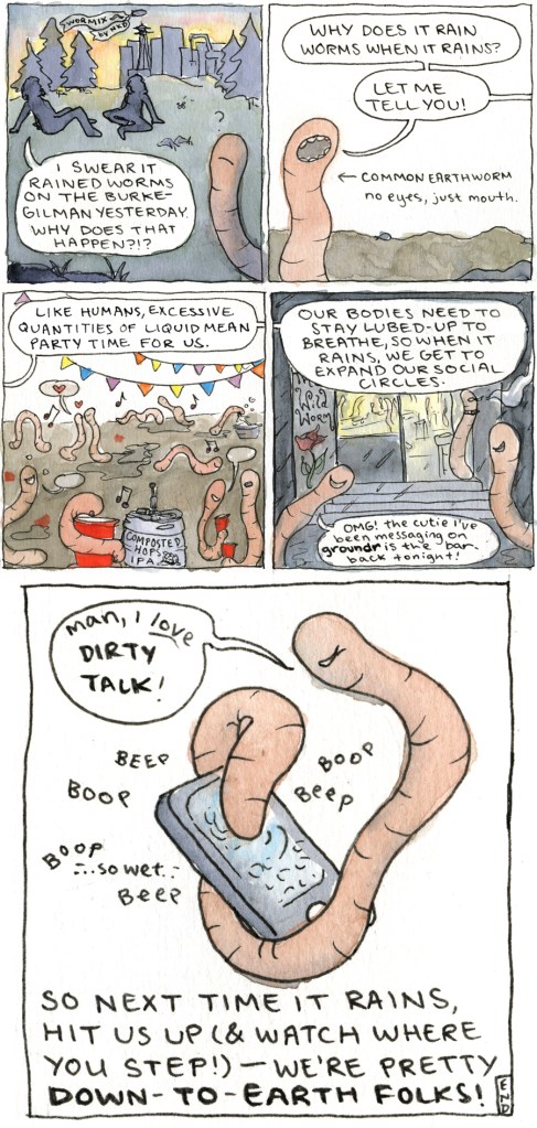 Northwest Homegrown: Why Are There So Many Worms When Burke-Gilman Is Wet?