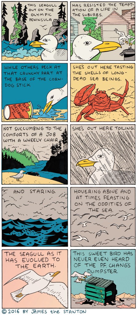 Gnartoons: The Olympic Peninsula Seagull