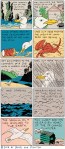 Gnartoons: The Olympic Peninsula Seagull