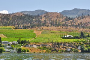 The Bar Code: Wonderful Wines Await North of the Border