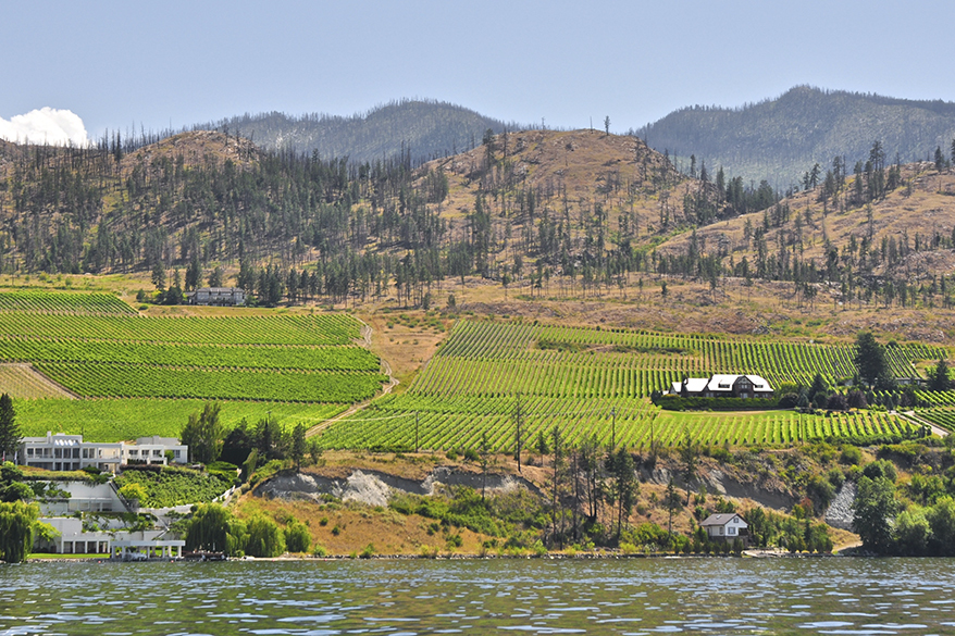 The Bar Code: Wonderful Wines Await North of the Border