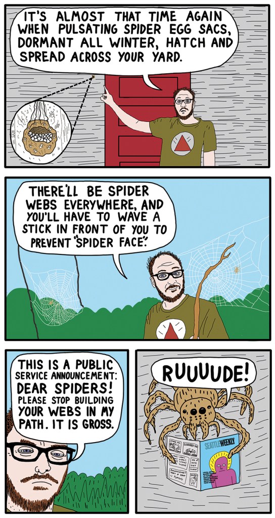 It’s Spider Season