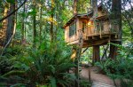 Treehouse Point does treehouses luxury-style. Photo by Adam Crowley