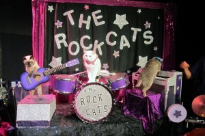 The Top 15 Things to Do This Week