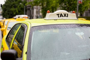 Photo by Tegra Nuess