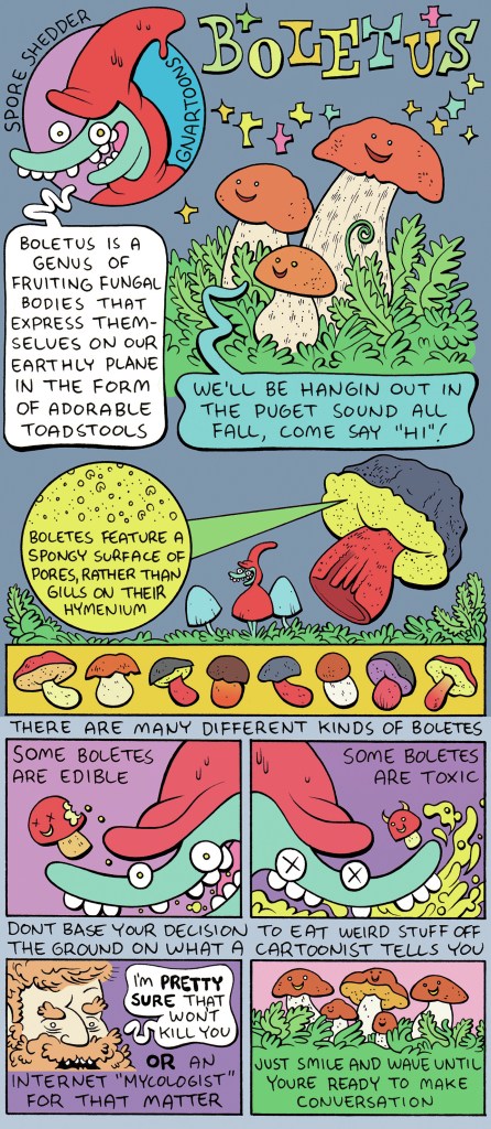 Gnartoons: A Shroom Named Boletus