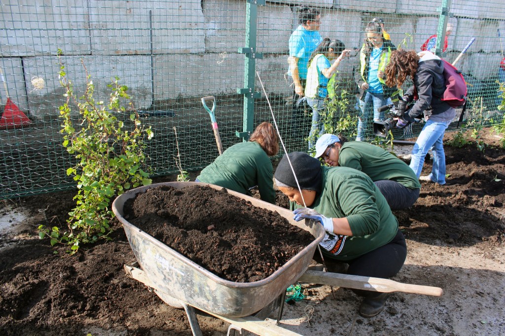 Largest Green Wall in Seattle Takes Shape in Georgetown