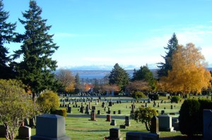 The Top 15 Things to Do This Week