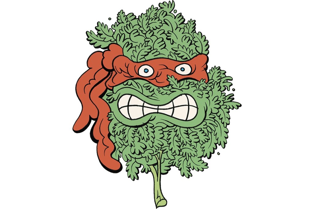 Marijuana Myths That Just Won’t Die