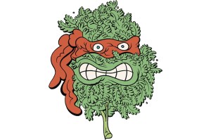 Marijuana Myths That Just Won’t Die