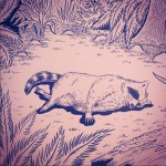 Seattle Weekly contributor Marie Hausauer will be selling her morbid new comic book &ldquo;Raccoon&rdquo; at Push/Pull this weekend alongside other talented women cartoonists. Courtesy Marie Hausauer