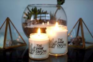 Photo by Carly Starr