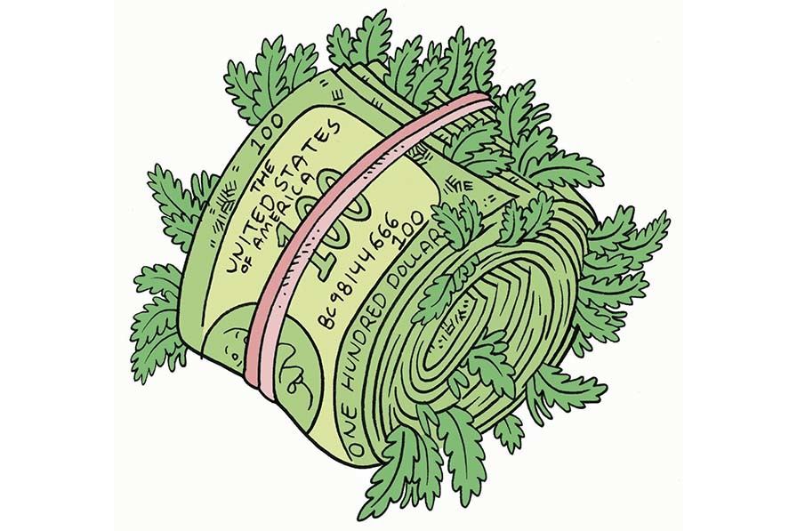 The Bud Money Rolls in for Washington State