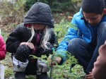 Kid Climate Activists Still Planting Trees, Inspiring Grownups