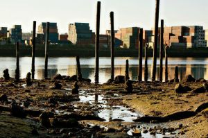 Photo by Paul Joseph Brown/Ecosystemphoto.com