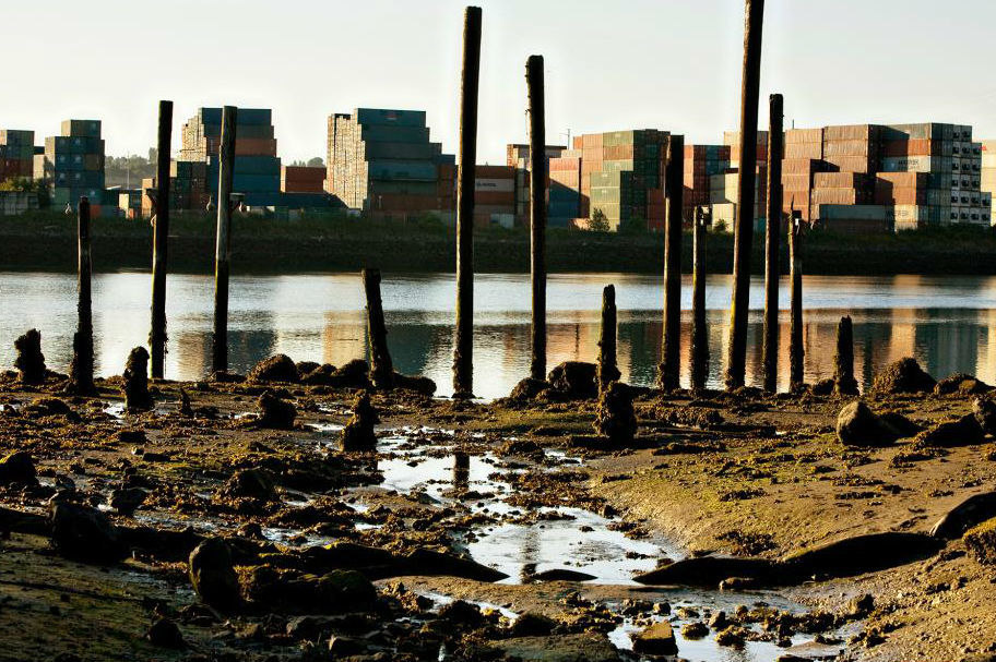 Photo by Paul Joseph Brown/Ecosystemphoto.com