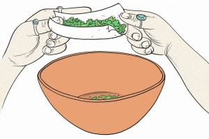 Illustration by James the Stanton