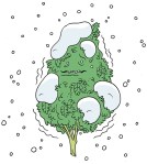 How Weed Can Help Fight Seasonal Affective Disorder