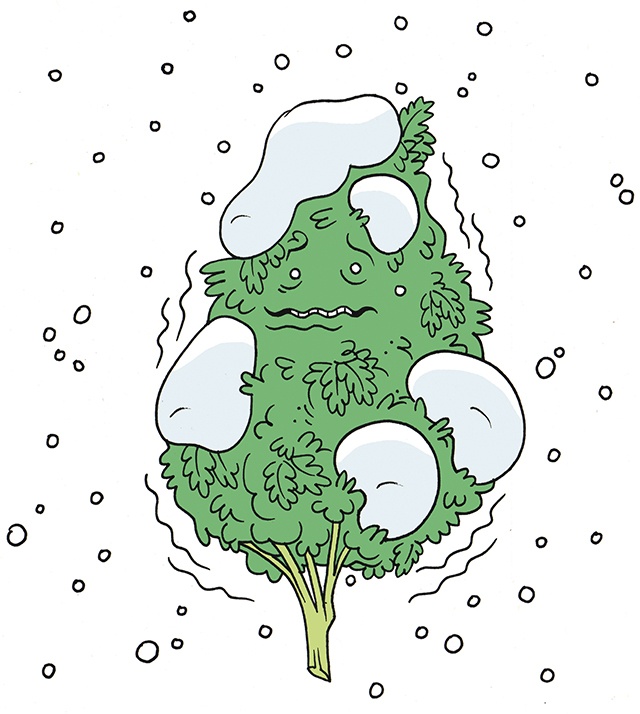 How Weed Can Help Fight Seasonal Affective Disorder