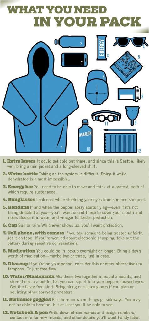 So You Want to Protest: A Beginner’s Guide