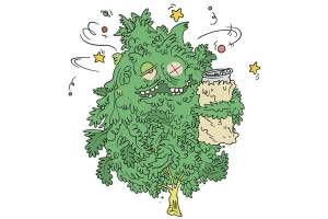 How to Mix Your Booze and Bud