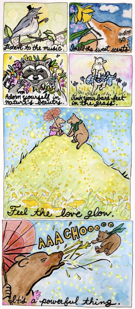 The Beauty of Spring