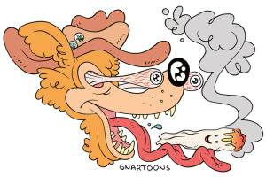 Treating Your Pets With Cannabis