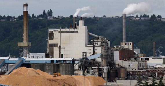 Piles of wood chips sit near the RockTenn paper mill in Tacoma in June. (Ted S. Warren/Associated Press)