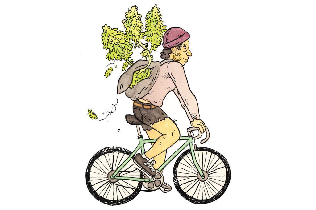 The Many Benefits of Illegal Weed Delivery