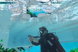 Dakota Gearhart Dips Into the Love and Fear of Aquascapes