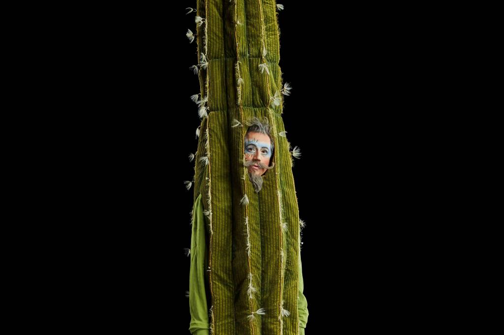 Cirque du Soleil’s ‘Luzia’ Is a $47.7 Million Detriment to Mexican Artists